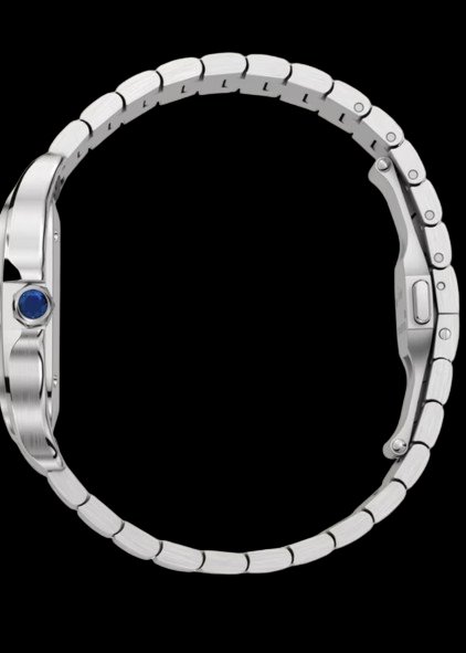 Cartier - Santos de Cartier Medium