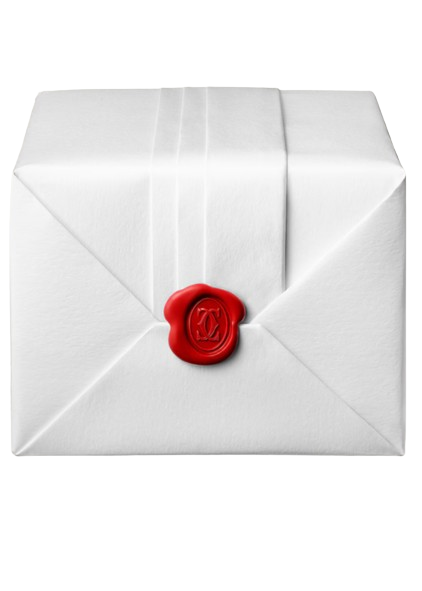 Cartier - Santos de Cartier Medium