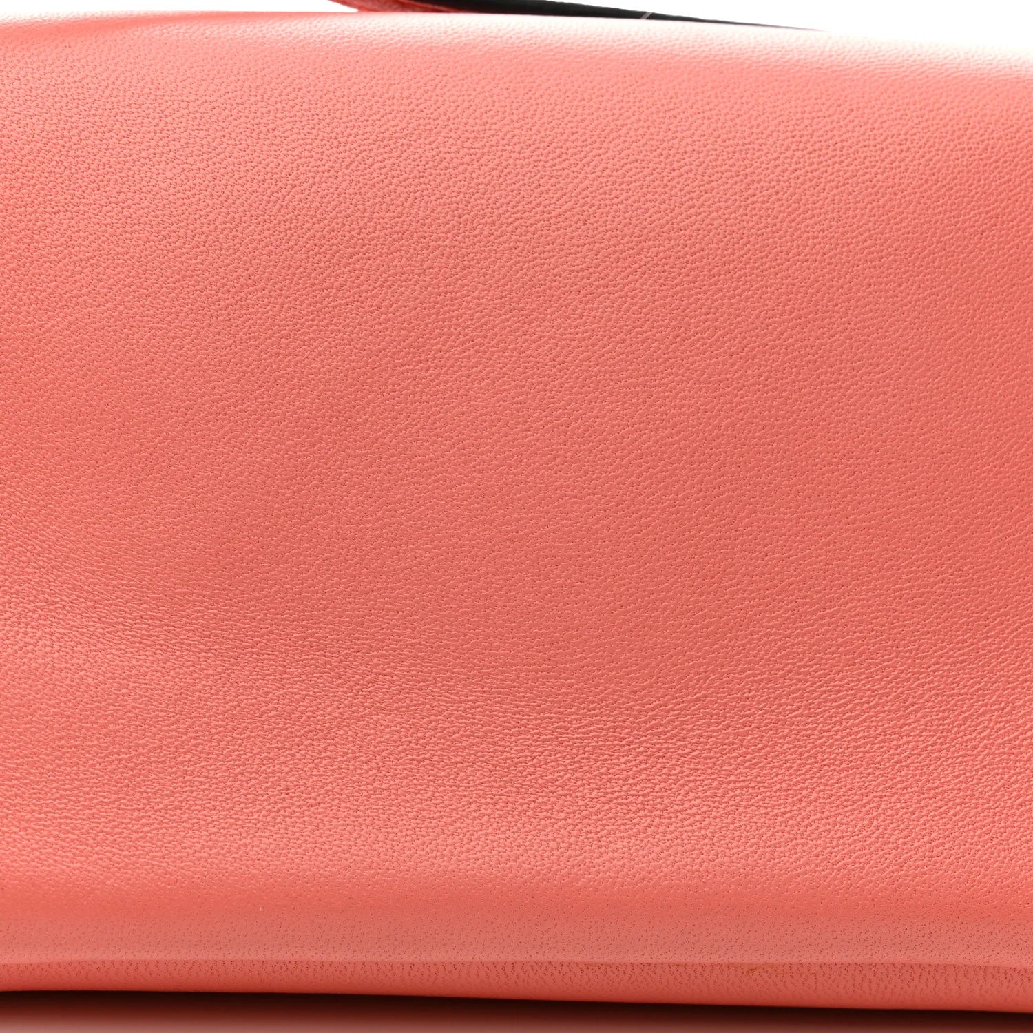 Fendi Baguette - Nappa Rabbit Fox Fur Micro Buggie Baguette Coral