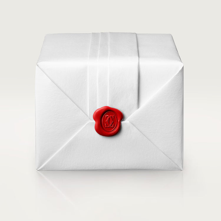 Cartier - Santos de Cartier Medium